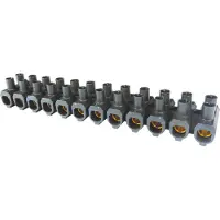 Electro Terminal EKL 5E SVCE Anschlussklemme 12P Schwarz ELTE KRNKLMSTK VP50 - 88945876