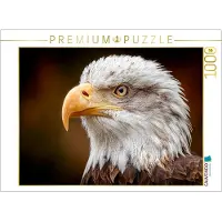 CALVENDO Puzzle Weißkopfseeadler im Detail mit scharfem Blick | 1000 Teile Lege-Größe 64 × 48 cm Foto-Puzzle für glückliche Stunden