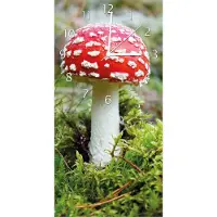 Wallario Design Wanduhr bedruckt, Größe 30 x 60 cm, Motiv: Fliegenpilz im Wald