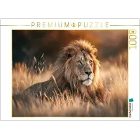 CALVENDO Puzzle Majestätischer Löwe in der Savanne | 1000 Teile Lege-Größe 64 × 48 cm Foto-Puzzle für glückliche Stunden