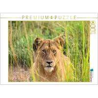 CALVENDO Puzzle Löwe im hohen Gras in Uganda | 1000 Teile Lege-Größe 64 × 48 cm Foto-Puzzle für glückliche Stunden