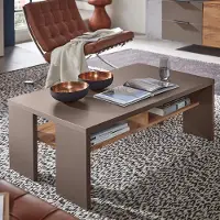 Lomadox Couchtisch FARO-36 in basalt mit Ablage in Eiche Altholz Nb., B/H/T: ca. 110/40/65 cm