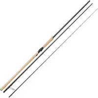 Westin Fishing W2 Salmon Spinnrute