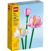 LEGO 40647 – Icons – Lotusblumen