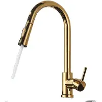 OEM Küchenarmatur, Ausziehbare Sprühfunktion, Zeitgenössisches Design, Polnisches Gold keinen Sinn