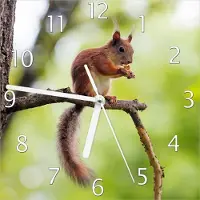 Wallario Design Wanduhr Eichhörnchen auf einem Ast aus Echtglas, Größe 20 x 20 cm