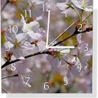 Wallario Design Wanduhr Kirschblüten in zartem Rosa - Frühling im Garten aus Aluverbund, Größe 30 x 30 cm