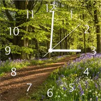Wallario Design Wanduhr Blaues Hasenglöckchen im Sommerwald aus Echtglas, Größe 30 x 30 cm