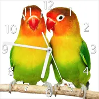 Wallario Design Wanduhr Papageien auf dem dünnen Ast aus Echtglas, Größe 20 x 20 cm