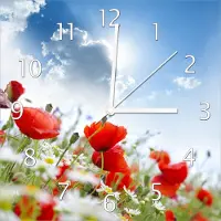 Wallario Design Wanduhr Mohnblumen unter blauem Himmel aus Echtglas, Größe 30 x 30 cm