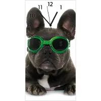 Wallario Design Wanduhr Cooler Hund mit Sonnenbrille in grün - Französische Bulldogge aus Echtglas, Größe 30 x 60 cm