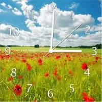 Wallario Design Wanduhr Grüne Wiese mit Mohnblumen aus Echtglas, Größe 30 x 30 cm