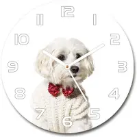 Tulup Wanduhr aus Glas 30fi Glasbild Glasuhr Gehärtetes Glas - weisse-zeiger - Maltese in a bow tie