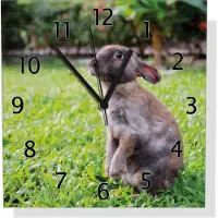 Wallario Design Wanduhr Kaninchen im Garten mit süßem Blick aus Aluverbund, Größe 30 x 30 cm