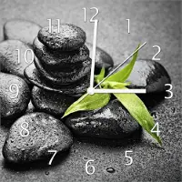Wallario Design Wanduhr Bambustrieb auf schwarzen Steinen, benetzt mit Wasser-Tropfen aus Echtglas, Größe 30 x 30 cm