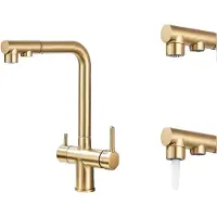OEM Gefilterter Küchenarmatur, Doppelsprühfunktion, zeitgemäßes Design , Gebürstetes Gold-Upgrade