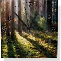 Wallario Design Wanduhr Sonnenstrahlen im Herbstwald aus Aluverbund, Größe 30 x 30 cm