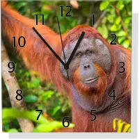 Wallario Design Wanduhr Orang-Utan im Regenwald aus Echtglas, Größe 30 x 30 cm