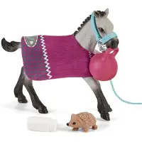 Schleich HORSE CLUB Spielspaß mit Fohlen, Horses, 5 Jahr(e), Mehrfarbig