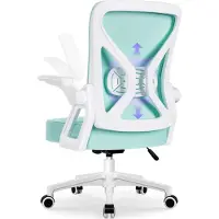 Hiazurm Bürostuhl, Schreibtischstuhl, bürostuhl ergonomisch mit Verstellbaren Armlehnen, höhenverstellbar,S-förmige Lendenstütze,Chefsessel 150kg