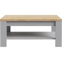 Freiraum Couchtisch >BOHOL< in Riviera Eiche Nachbildung / Eiche grau - 100x45,7x60cm (BxHxT)