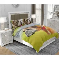 SOVIO Bettwäsche 160x200 cm + 2x70x80 cm, 3-teilig, 100% Baumwolle, Satin, Reißverschluss, Bunt - | So.0233