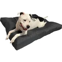 Pillows24 - Wasserabweisend Hundebett 10 cm Hoch - L (90 x 70cm) in Anthrazit - Waschbar Hundekissen für Outdoor & Indoor - Dog Bed