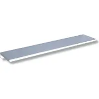 Delabie Ablage Wandmontage 120x450mm Stahl weiß