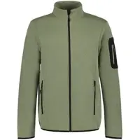 Icepeak Fleecejacke "BREDSTEDT", Herren, Gr. L, light grün, Obermaterial: 100% Polyester, normal, Jacken Fleecejacke, mit Stehkragen, schnell trocknend, in normaler Länge