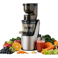 4Swiss Swan BM 105 Slow Juicer Entsafter - Kaltentsafter Saftpresse Elektrisch 400W für Obst & Gemüse XXL Einfüllschacht BPA-Frei