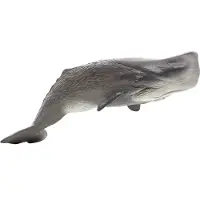 Mojo Fun Sperm Whale (Portugal), 3 Jahr(e), SEALIFE, Grau, Weiß, Polyvinylchlorid (PVC)