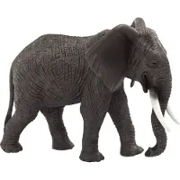 Mojo Fun African Elephant, 3 Jahr(e), Wildlife, Grau, Weiß, Polyvinylchlorid (PVC)