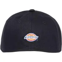 Dickies Hardwick Two Tone Kappe