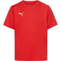 Puma Teamgoal Trikot Kurzarm Kinder - Rot