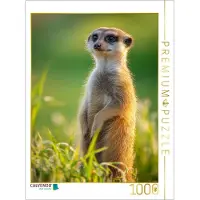 CALVENDO Puzzle Ein Motiv aus dem Kalender Wächter der Wüste | 1000 Teile Lege-Größe 64 × 48 cm Foto-Puzzle für glückliche Stunden