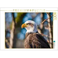 CALVENDO Puzzle Majestätischer Weißkopfseeadler mit scharfem Blick | 1000 Teile Lege-Größe 64 × 48 cm Foto-Puzzle für glückliche Stunden