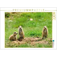 CALVENDO Schwarzschwanz Präriehund 2000 Teile Puzzle Quer, 2000 Stück(e), andere, 14 Jahr(e)