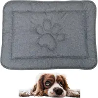 DOTTY Hundematte mit Pfotenmotiv Graphit Grau Größe S (60×45 cm) – rutschfest, wasserdicht und pflegeleicht – gemütlicher Liegeplatz für kleine Hunde