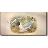 Coloray Dekor Leinwand Uhr Wandbilder Geräuschlos 60x30 Vögel Wild Tiere Zeichnung Kunst - weiße Hände