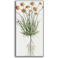 Coloray Küche Wohnzimmer Wand Leinwand Uhr 30x60 Gemälde Blumen Pflanzen Kunst - weiße Hände