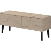 PAWS MÖBEL Moderner skandinavischer TV-Schrank BERGEN 120 2D RTV-Kommode Fernsehschrank TV-Lowboard ARTISAN-Eiche 120x48x37