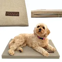 DOTTY Hundematte S 60x40 cm beige – bequemes Hundebett für kleine Hunde, Reisematte Auto & Hundebox, wasserabweisend, robust & waschbar
