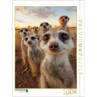 CALVENDO Puzzle Erdmännchen Gruppe in der Savanne beim Sonnenuntergang | 1000 Teile Lege-Größe 64 × 48 cm Foto-Puzzle für glückliche Stunden