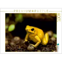 CALVENDO 4059478903852 Schreckliche Pfeilgiftfrosch (Phyllobates terribilis) 1000 Teile Lege-Größe 64 x 48 cm Foto-Puzzle Bild von Hilger Axel, Weiß, 1000 Stück(e), andere, 14 Jahr(e)