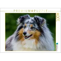 CALVENDO 4059478920453 Sheltie-Porträt 1000 Teile Lege-Größe 64 x 48 cm Foto-Puzzle Bild von Starick Sigrid, Weiß, 1000 Stück(e), andere, 14 Jahr(e)