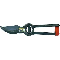 Due Buoi Schere für den Weinbau, Modell "", 25 cm