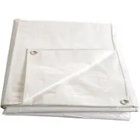 Mat Plane mit Ösen, 4 x 5 Meter, weiß, 140 g/m², beschichtet