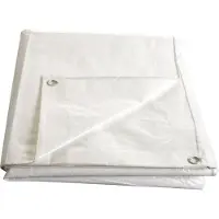 Mat Plane mit Maschen, 5 x 6 Meter, weiß, 140 g/m², beschichtet