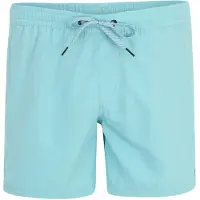 Quiksilver Herren Bermuda SOLID 15 JAMV