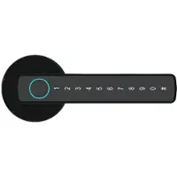 OEM Intelligentes Fingerabdrucktürschloss, mehrere Entsperrmöglichkeiten, benutzerfreundliches Design, M5 Schwarz